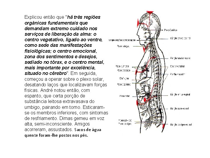 Explicou então que "há três regiões orgânicas fundamentais que demandam extremo cuidado nos serviços