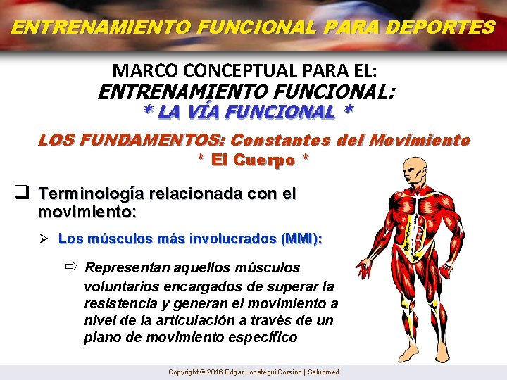 ENTRENAMIENTO FUNCIONAL PARA DEPORTES MARCO CONCEPTUAL PARA EL: ENTRENAMIENTO FUNCIONAL: * LA VÍA FUNCIONAL