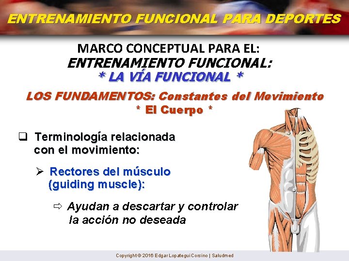 ENTRENAMIENTO FUNCIONAL PARA DEPORTES MARCO CONCEPTUAL PARA EL: ENTRENAMIENTO FUNCIONAL: * LA VÍA FUNCIONAL