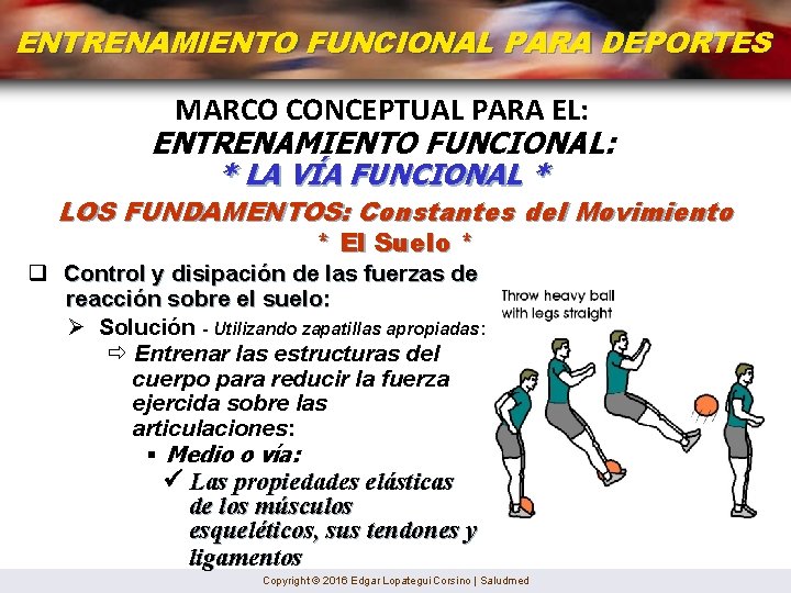 ENTRENAMIENTO FUNCIONAL PARA DEPORTES MARCO CONCEPTUAL PARA EL: ENTRENAMIENTO FUNCIONAL: * LA VÍA FUNCIONAL