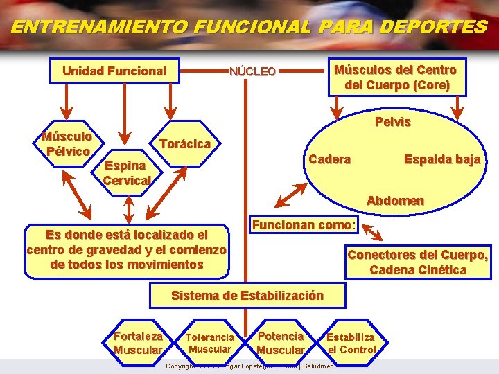 ENTRENAMIENTO FUNCIONAL PARA DEPORTES Unidad Funcional Músculos del Centro del Cuerpo (Core) NÚCLEO Pelvis