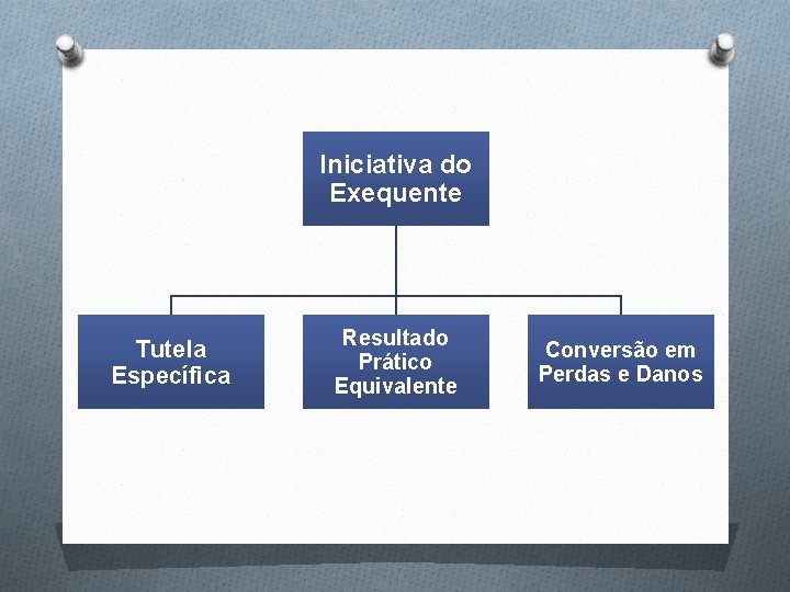 Iniciativa do Exequente Tutela Específica Resultado Prático Equivalente Conversão em Perdas e Danos 