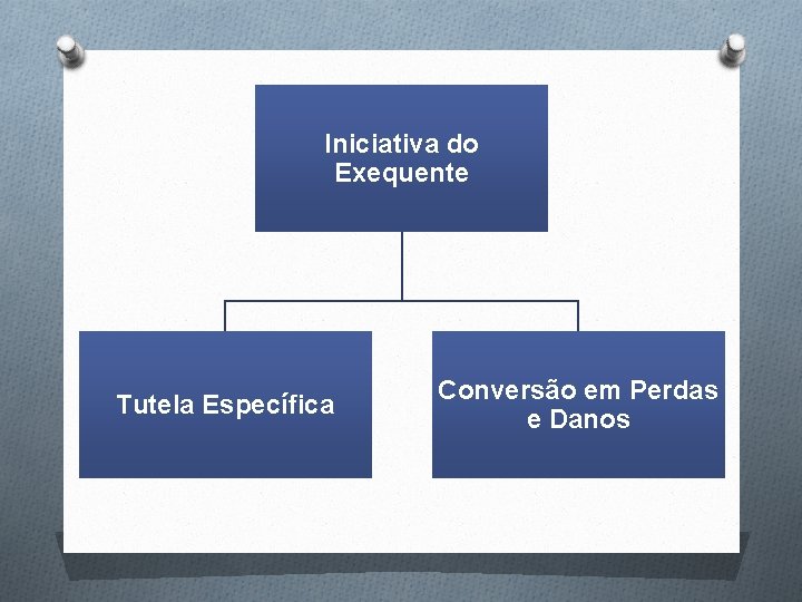 Iniciativa do Exequente Tutela Específica Conversão em Perdas e Danos 