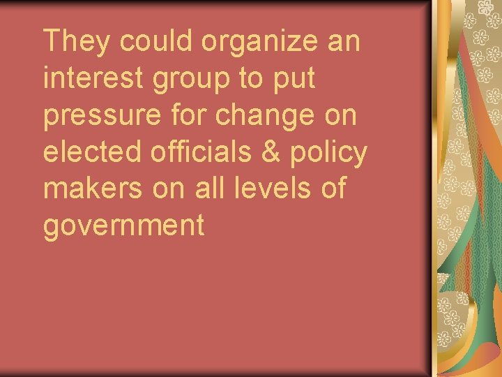 They could organize an interest group to put pressure for change on elected officials