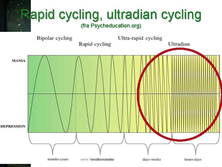 Rapid cycling, ultradian cycling (fra Psycheducation. org) www. kjerstikarlsen. no 