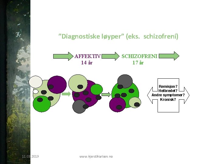 ”Diagnostiske løyper” (eks. schizofreni) ADHD 6år AFFEKTIV 14 år SCHIZOFRENI 17 år Remisjon? Helbredet?