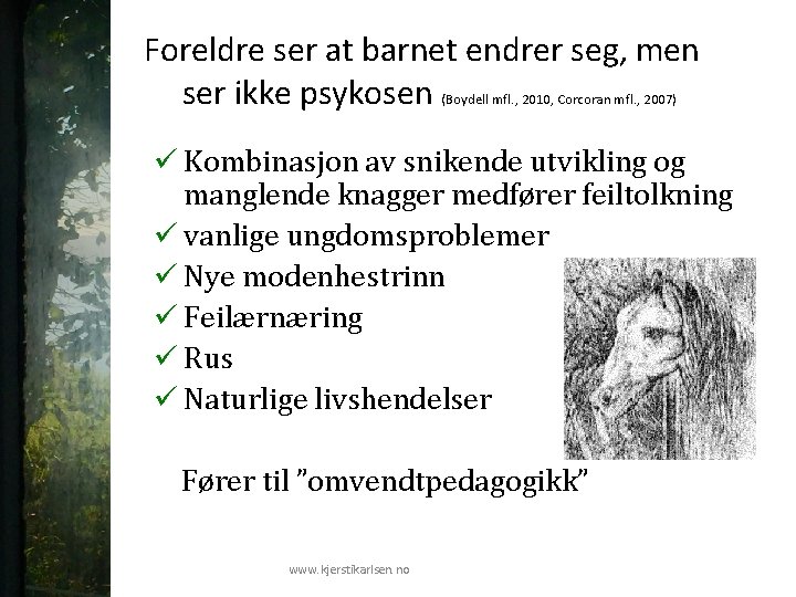 Foreldre ser at barnet endrer seg, men ser ikke psykosen (Boydell mfl. , 2010,