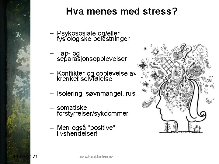Hva menes med stress? – Psykososiale og/eller fysiologiske belastninger – Tap- og separasjonsopplevelser –