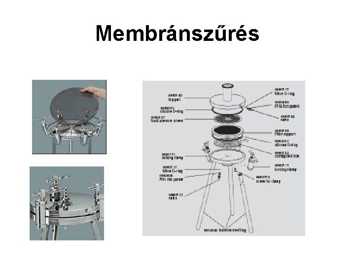 Membránszűrés 