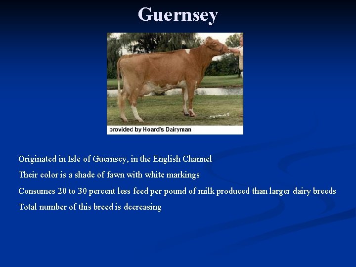 Guernsey Originated in Isle of Guernsey, in the English Channel Their color is a
