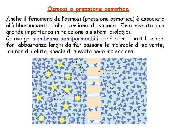 Osmosi o pressione osmotica Anche il fenomeno dell’osmosi (pressione osmotica) è associato all’abbassamento della