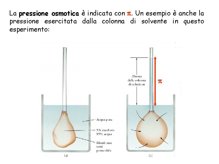 La pressione osmotica è indicata con . Un esempio è anche la pressione esercitata