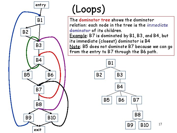 (Loops) entry B 1 The dominator tree shows the dominator relation: each node in