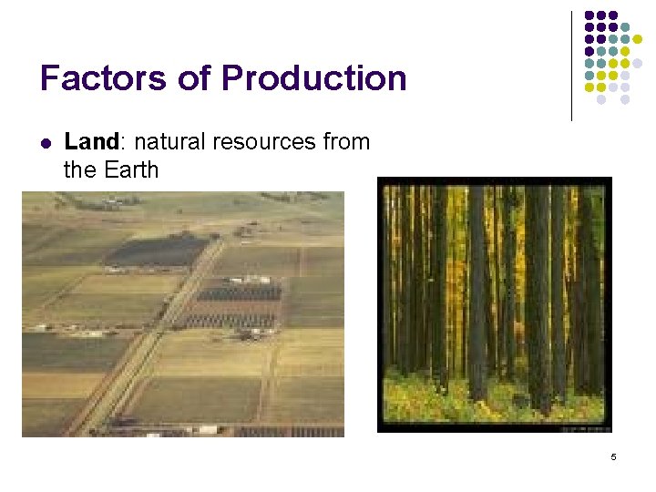 Factors of Production l Land: natural resources from the Earth 5 