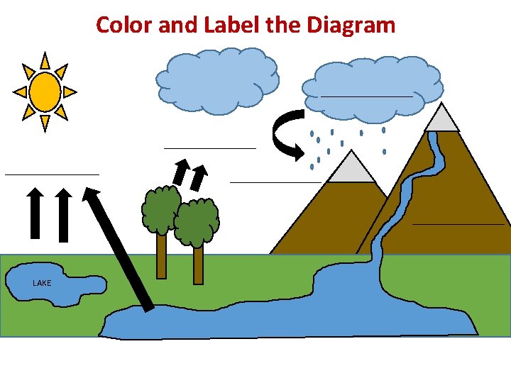 Color and Label the Diagram LAKE 