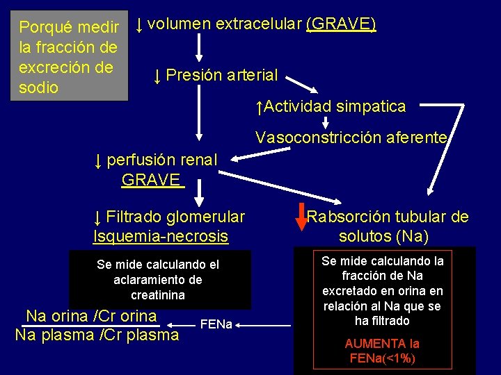 Porqué medir ↓ volumen extracelular (GRAVE) la fracción de excreción de ↓ Presión arterial