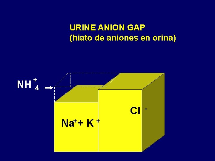 URINE ANION GAP (hiato de aniones en orina) + NH 4 Cl Na++ K