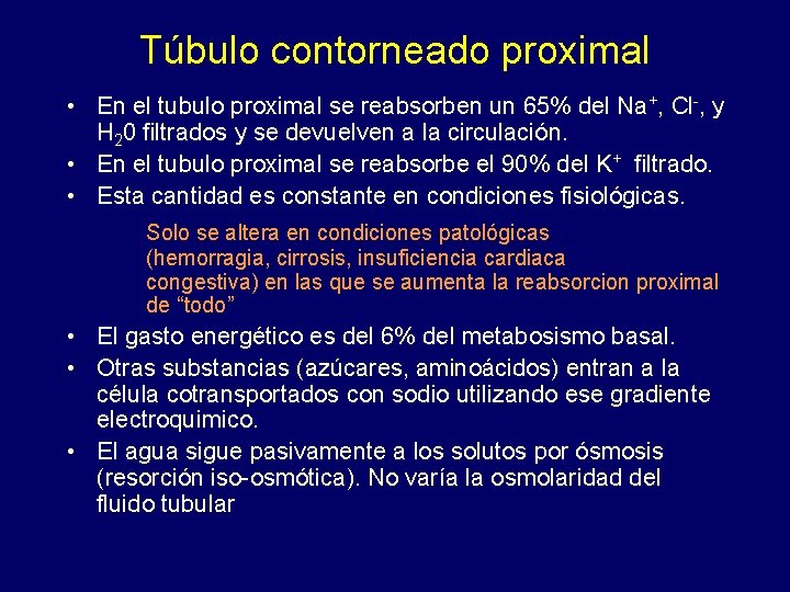Túbulo contorneado proximal • En el tubulo proximal se reabsorben un 65% del Na+,
