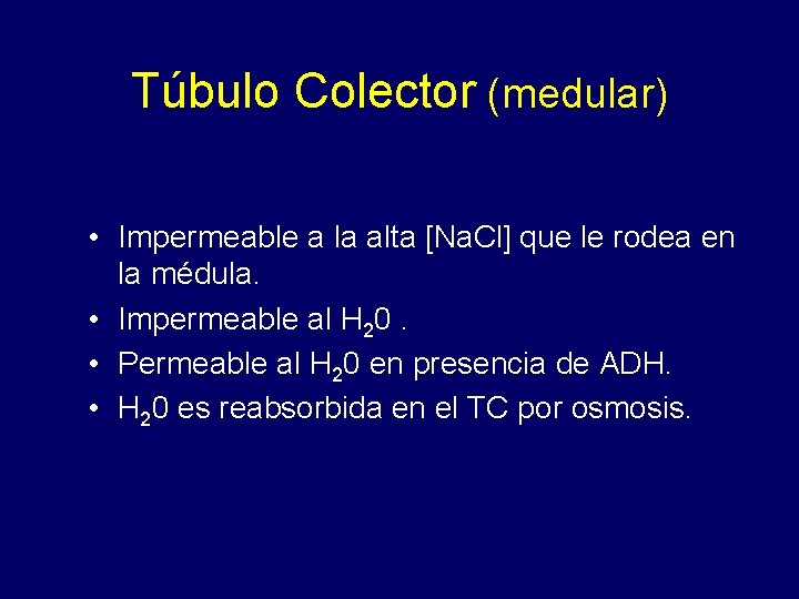 Túbulo Colector (medular) • Impermeable a la alta [Na. Cl] que le rodea en