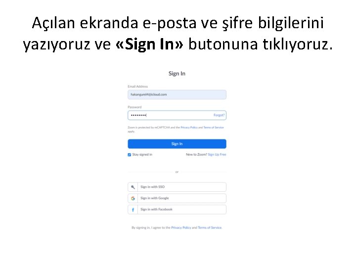 Açılan ekranda e-posta ve şifre bilgilerini yazıyoruz ve «Sign In» butonuna tıklıyoruz. 