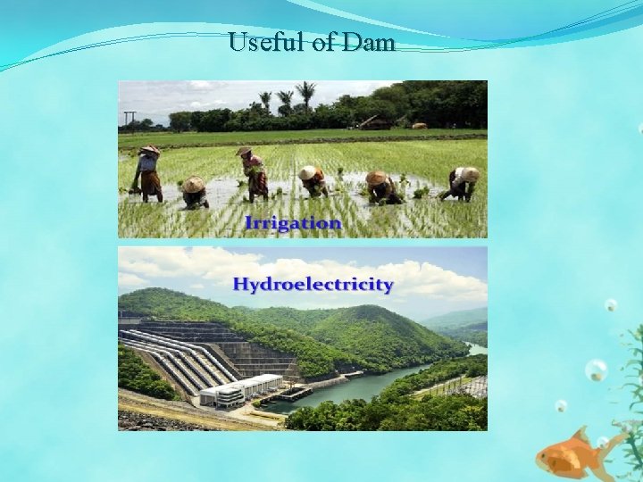 Useful of Dam 