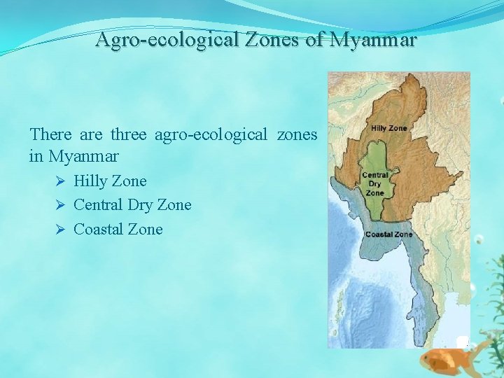 Agro-ecological Zones of Myanmar There are three agro-ecological zones in Myanmar Ø Hilly Zone