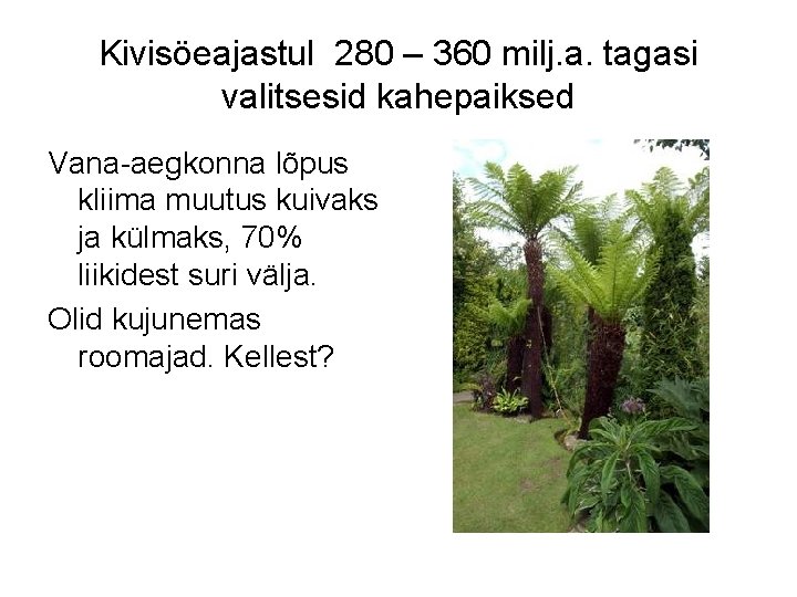 Kivisöeajastul 280 – 360 milj. a. tagasi valitsesid kahepaiksed Vana-aegkonna lõpus kliima muutus kuivaks