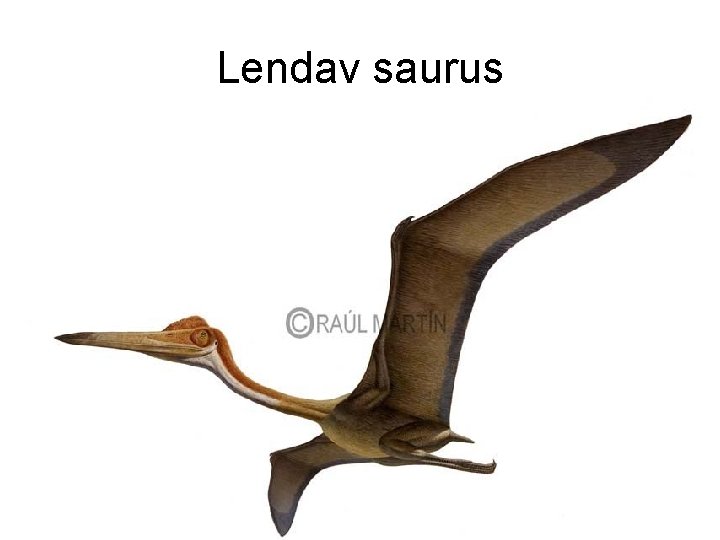 Lendav saurus 