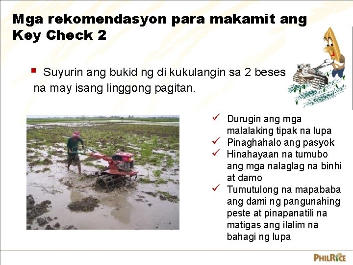 Mga rekomendasyon para makamit ang Key Check 2 § Suyurin ang bukid ng di