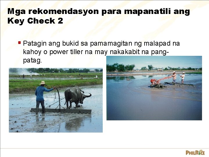 Mga rekomendasyon para mapanatili ang Key Check 2 § Patagin ang bukid sa pamamagitan