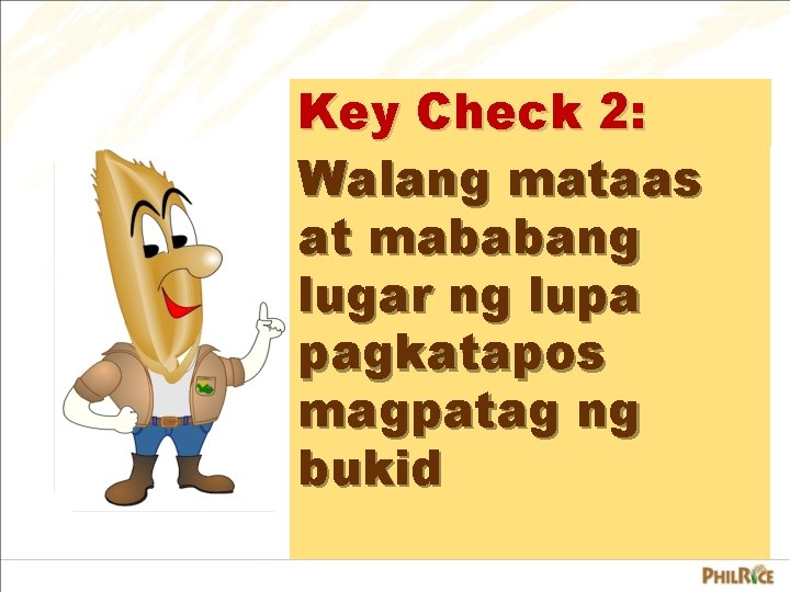 Key Check 2: Walang mataas at mababang lugar ng lupa pagkatapos magpatag ng bukid