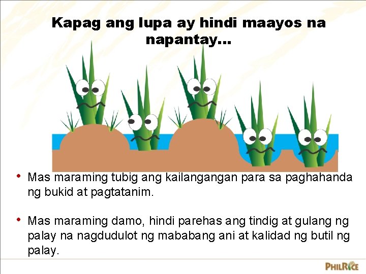 Kapag ang lupa ay hindi maayos na napantay. . . • Mas maraming tubig