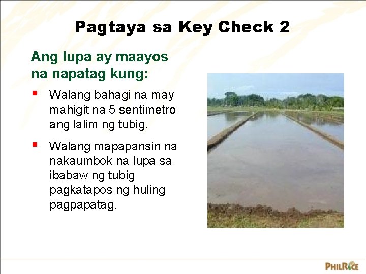 Pagtaya sa Key Check 2 Ang lupa ay maayos na napatag kung: § Walang