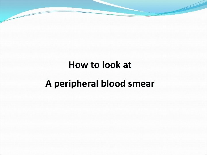 How to look at A peripheral blood smear 