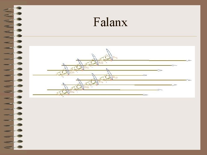Falanx Falanx