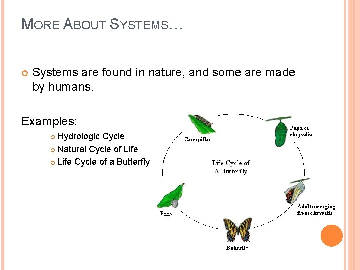 MORE ABOUT SYSTEMS… Systems are found in nature, and some are made by humans.