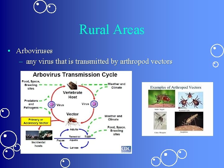 Rural Areas • Arboviruses – any virus that is transmitted by arthropod vectors 