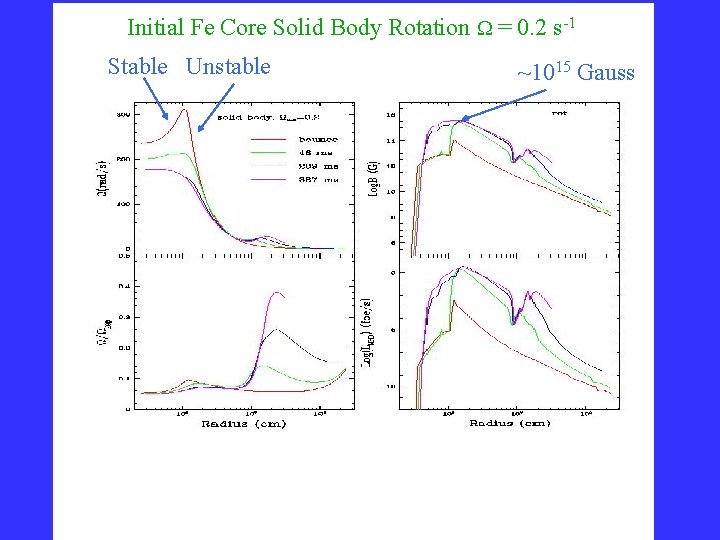 Initial Fe Core Solid Body Rotation = 0. 2 s-1 Stable Unstable ~1015 Gauss