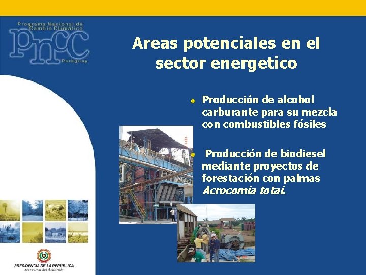 Areas potenciales en el sector energetico Producción de alcohol carburante para su mezcla con