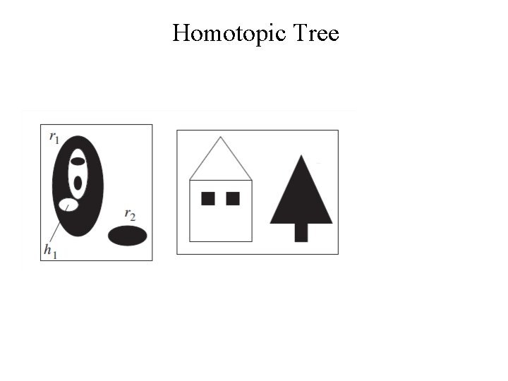 Homotopic Tree Homotopic Tree