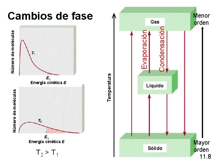 Cambios de fase Número de moléculas E 1 Energía cinética E Temperatura Condensación Número