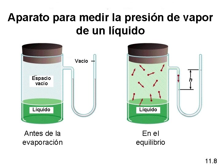 Aparato para medir la presión de vapor de un líquido Vacío Espacio vacío Líquido