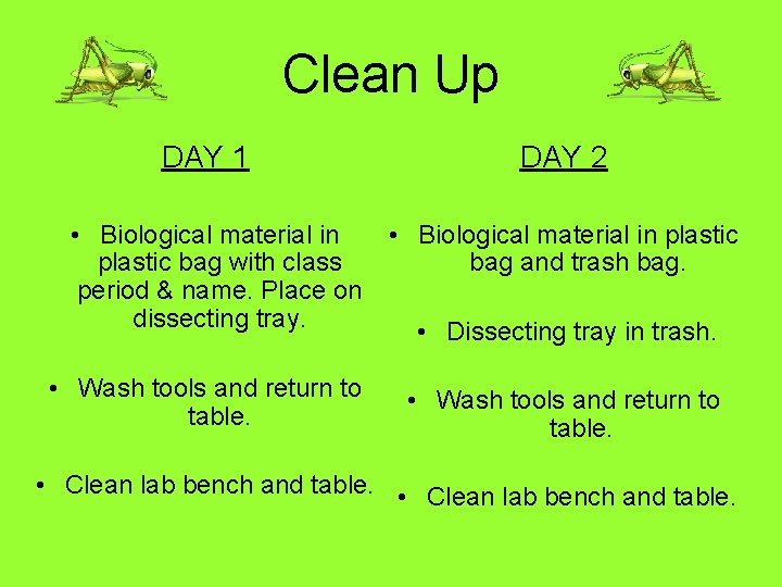 Clean Up DAY 1 DAY 2 • Biological material in plastic bag with class