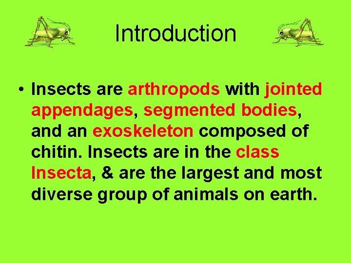 Introduction • Insects are arthropods with jointed appendages, segmented bodies, and an exoskeleton composed