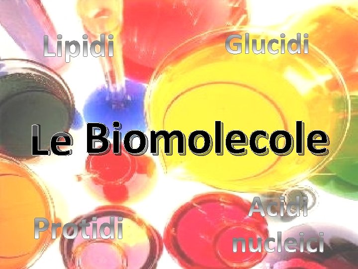 Glucidi Le Biomolecole 