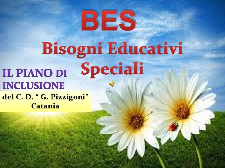 BES Bisogni Educativi Speciali del C. D. “ G. Pizzigoni” Catania 