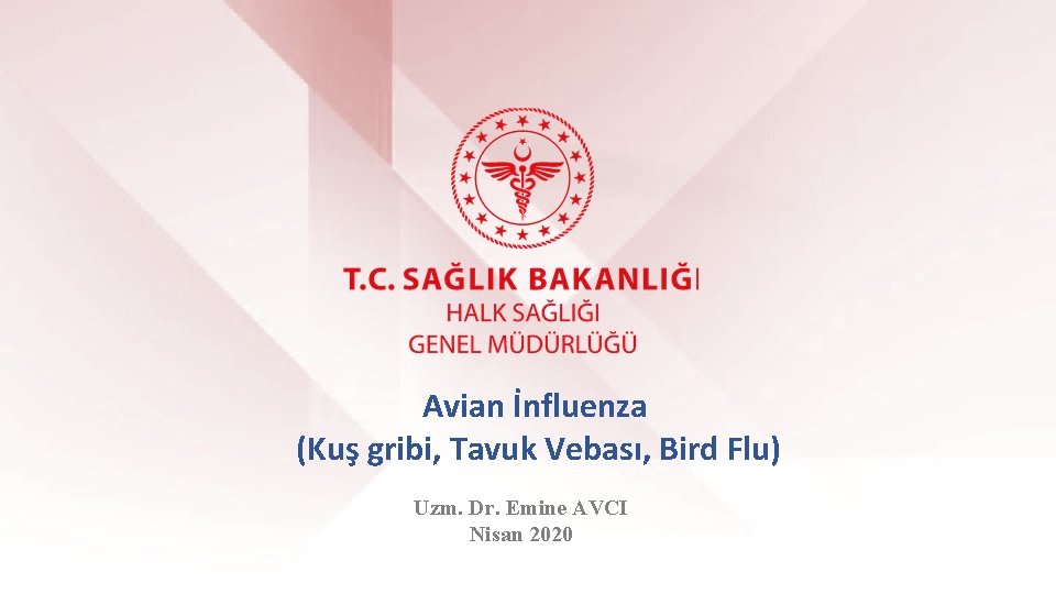 Avian İnfluenza (Kuş gribi, Tavuk Vebası, Bird Flu) Uzm. Dr. Emine AVCI Nisan 2020