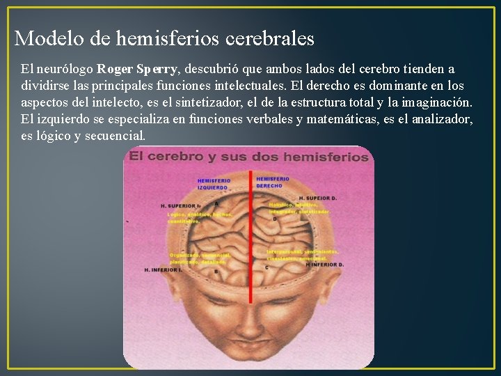 Modelo de hemisferios cerebrales El neurólogo Roger Sperry, descubrió que ambos lados del cerebro