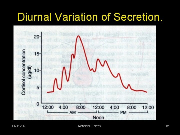 Diurnal Variation of Secretion. 08 -01 -14 Adrenal Cortex. 15 