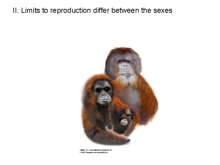 II. Limits to reproduction differ between the sexes 